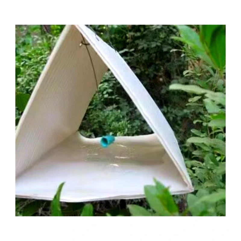 Asian Corn Borer Pheromone Traps