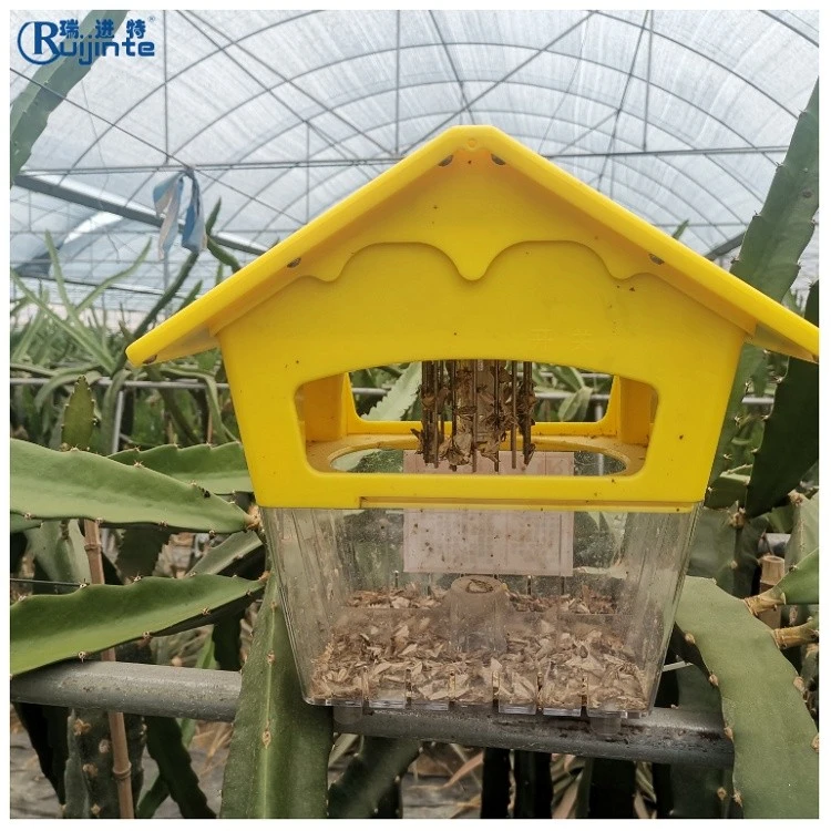 Mini Electric Shock Solar Insect Light Trap factory